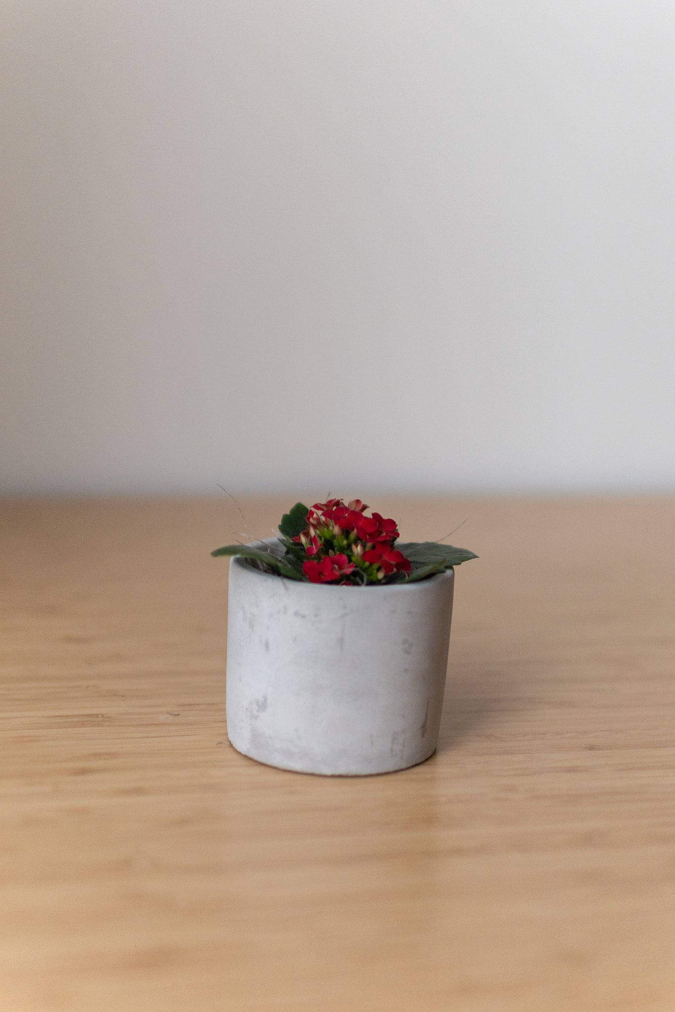 Mini Parker Grey