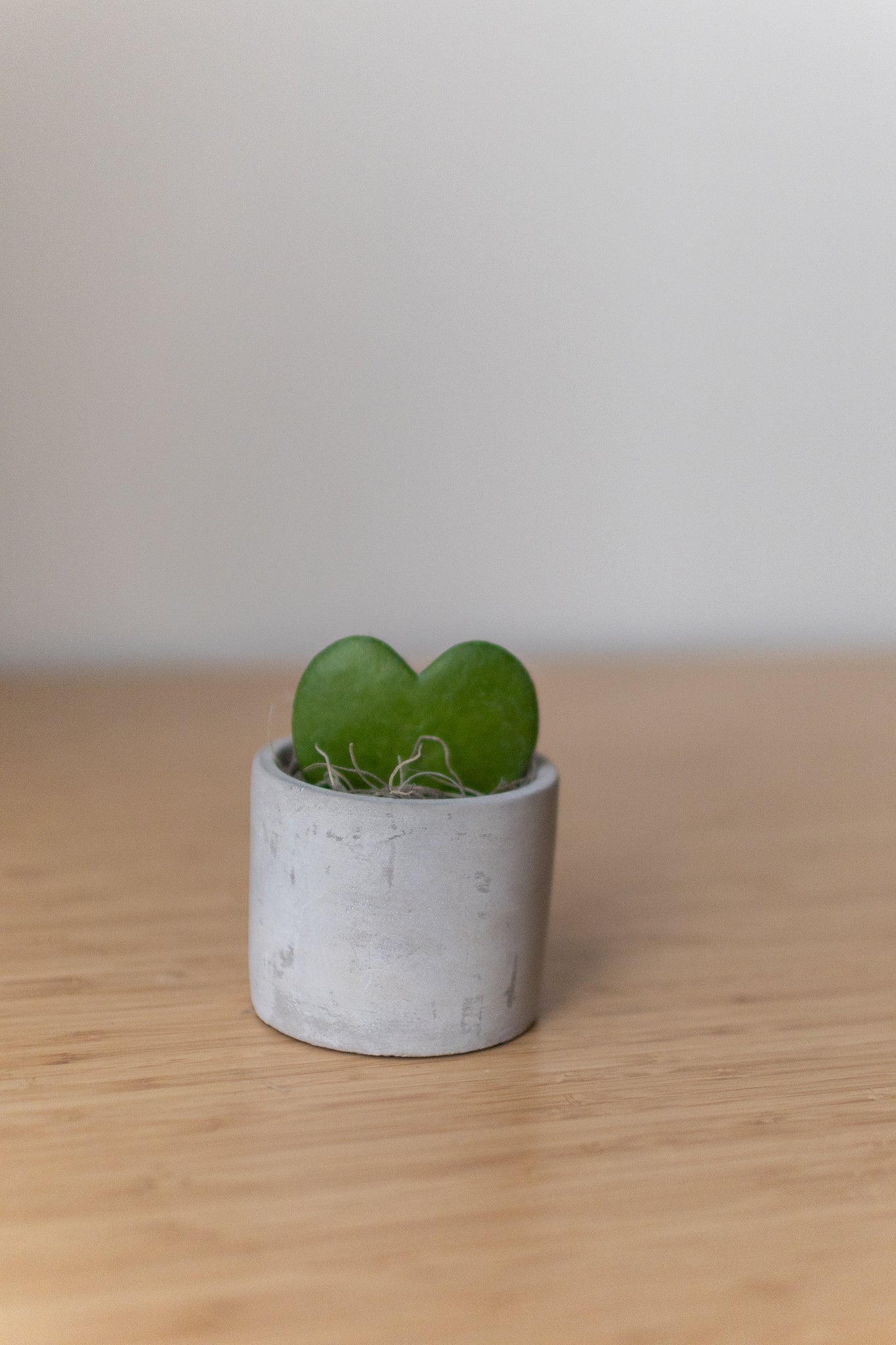 Mini Parker Grey