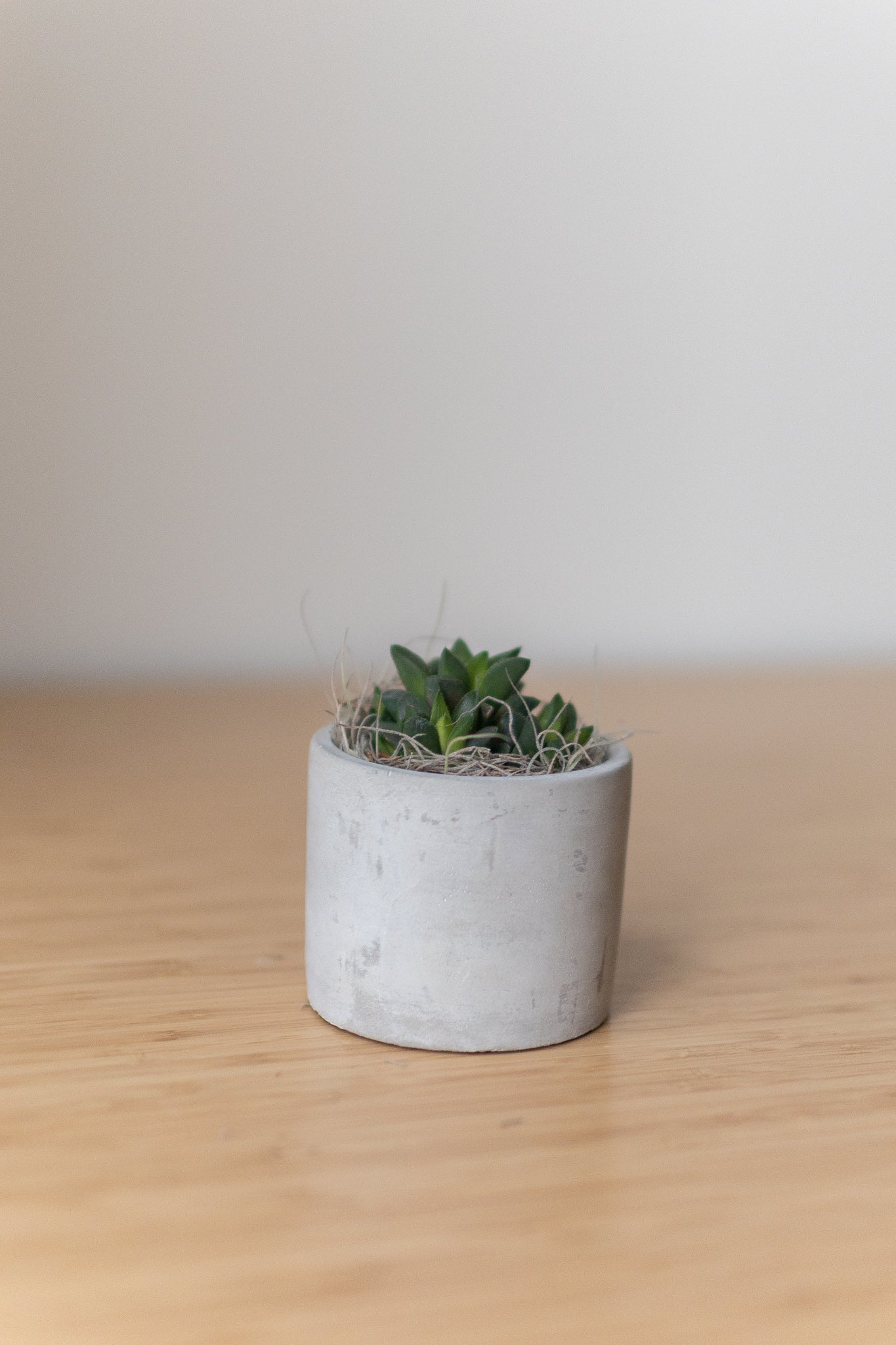 Mini Parker Grey