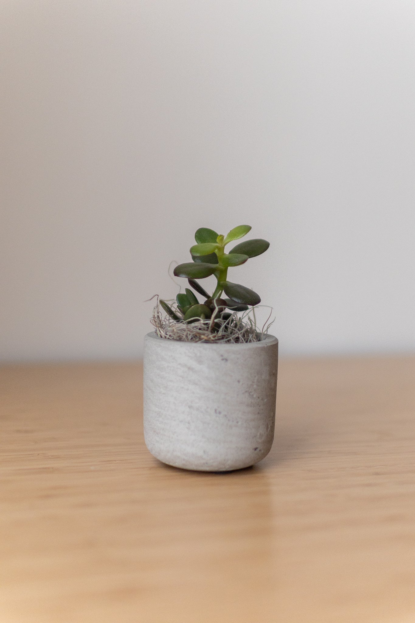 Mini Wilson Grey