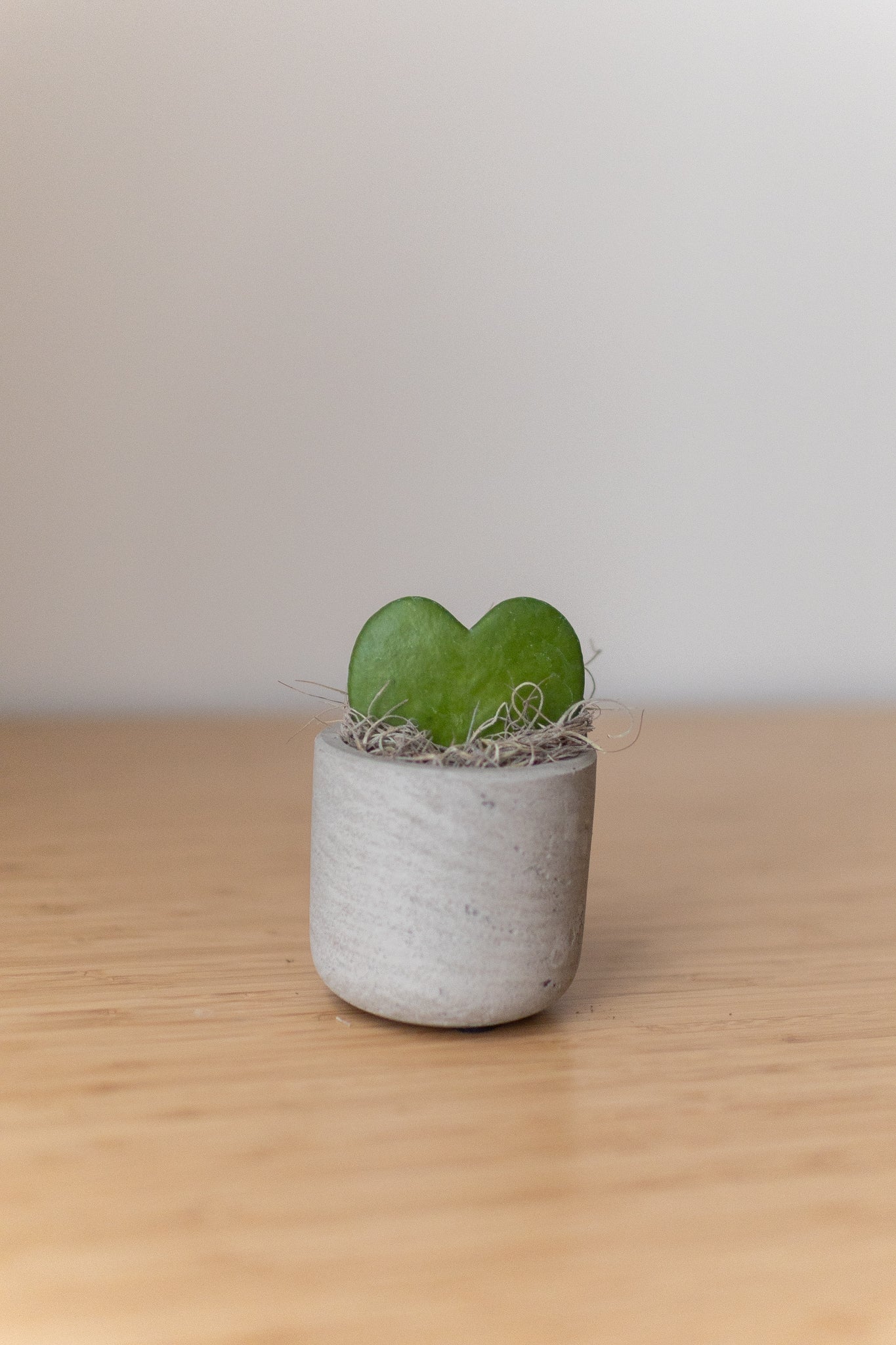 Mini Wilson Grey