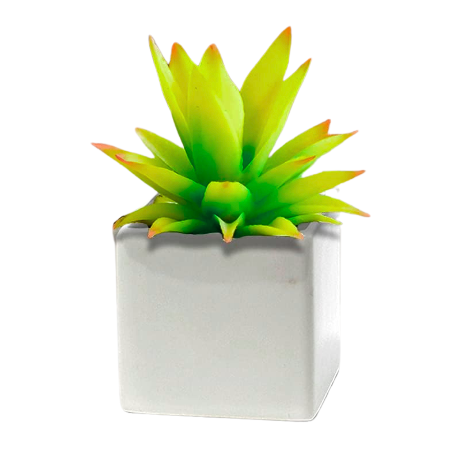 The Mini Spencer Pot