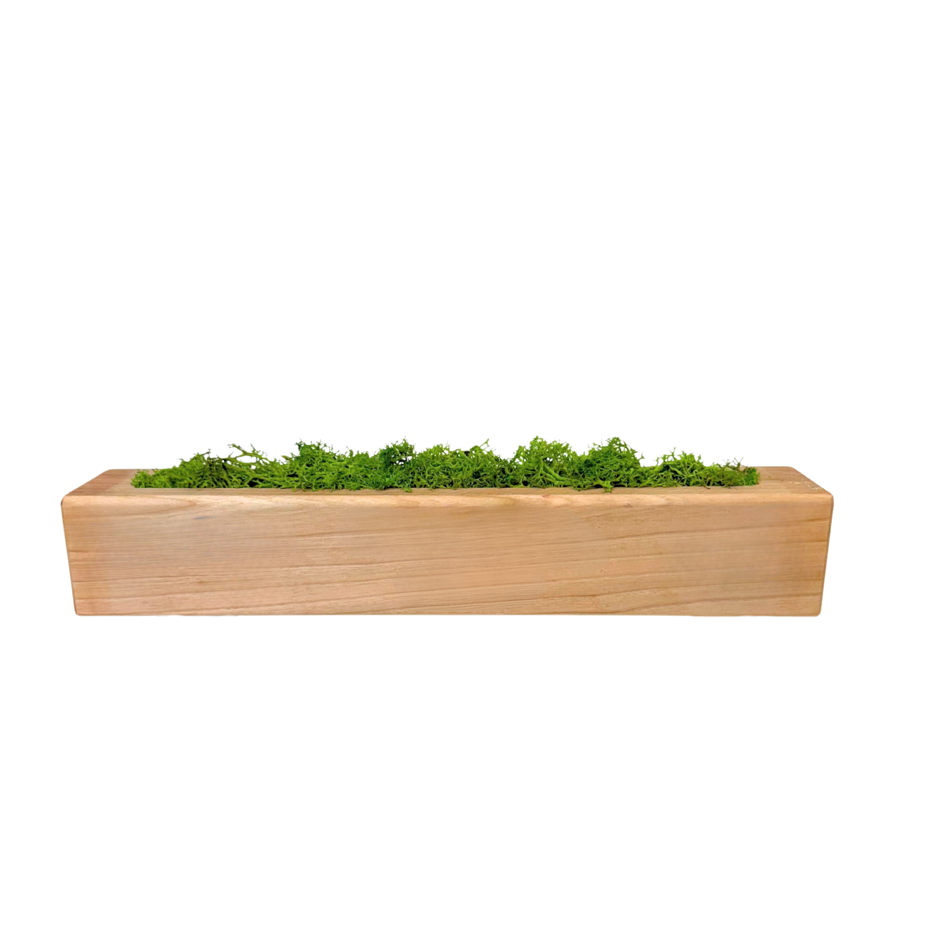 Moss Name Plates